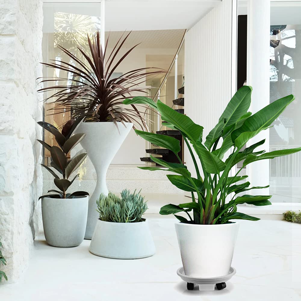 Grey 13-inch diameter Looca plant caddy fits medium planters