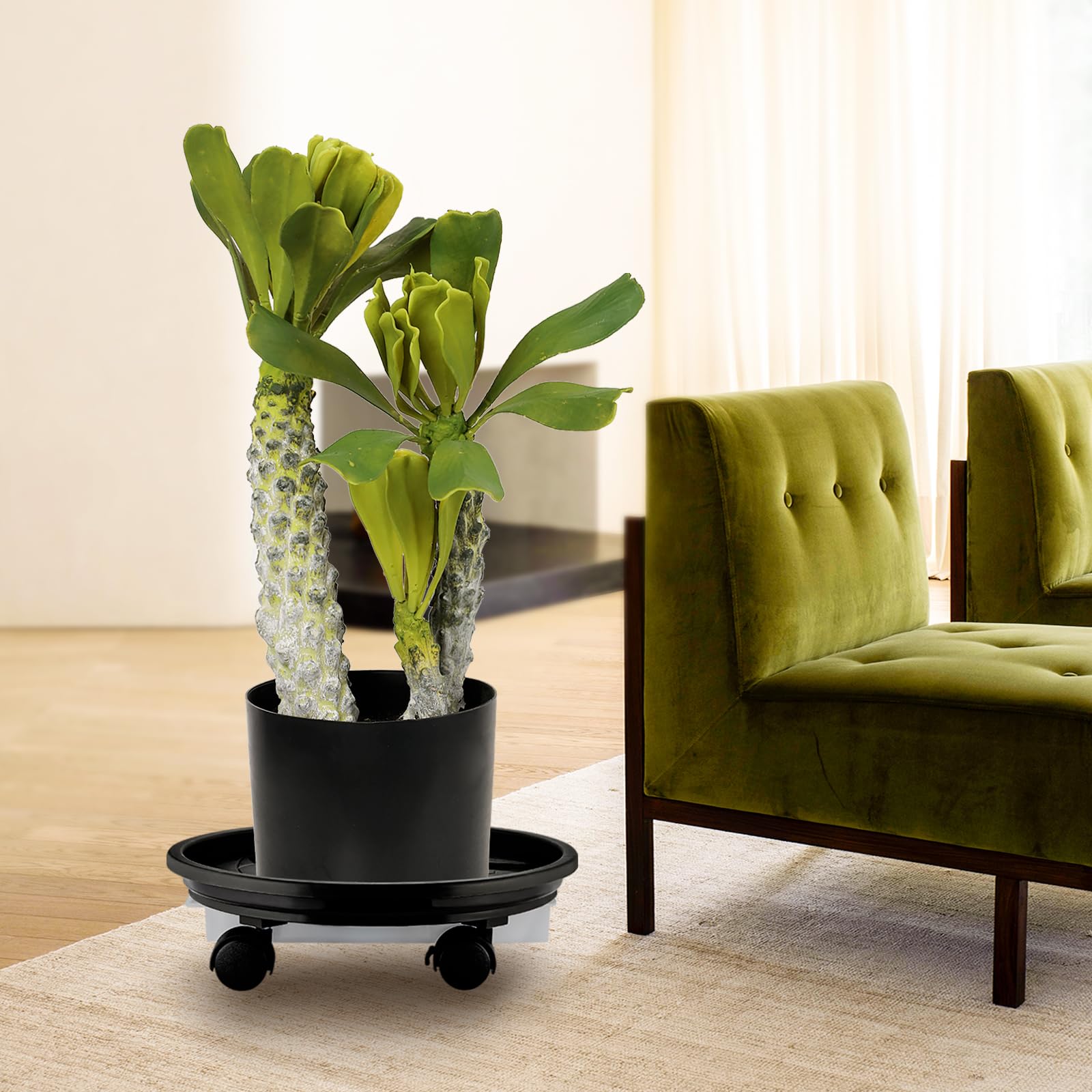 Looca heavy-duty plant dolly supports up to 120 lb pots.