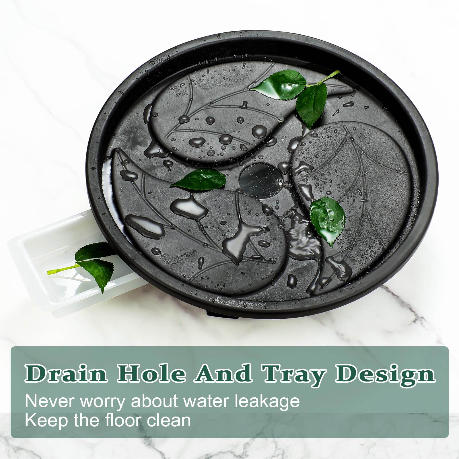 Looca resin-PP plant dolly for durable, rust-free use.