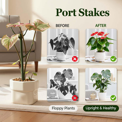 LOOHOI lightweight yet robust stake for indoor shelves and outdoor planters.
