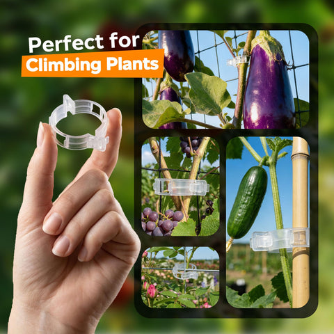 LOOHOI plant vine staking solution helps vines spread naturally