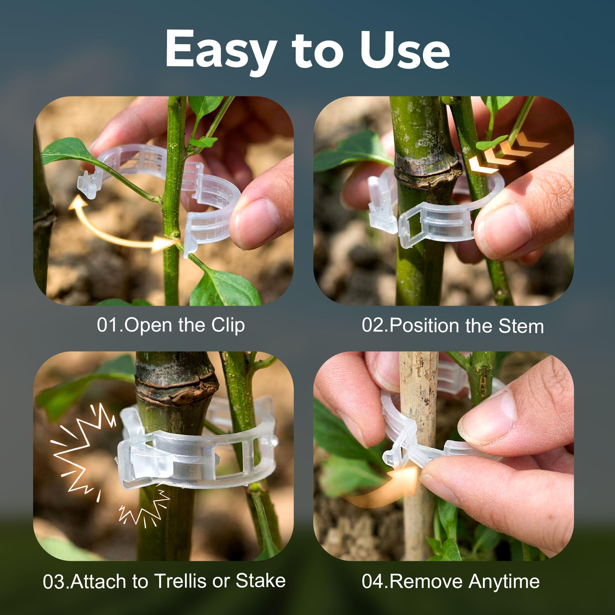 LOOHOI roses clematis support clips for ornamental plants