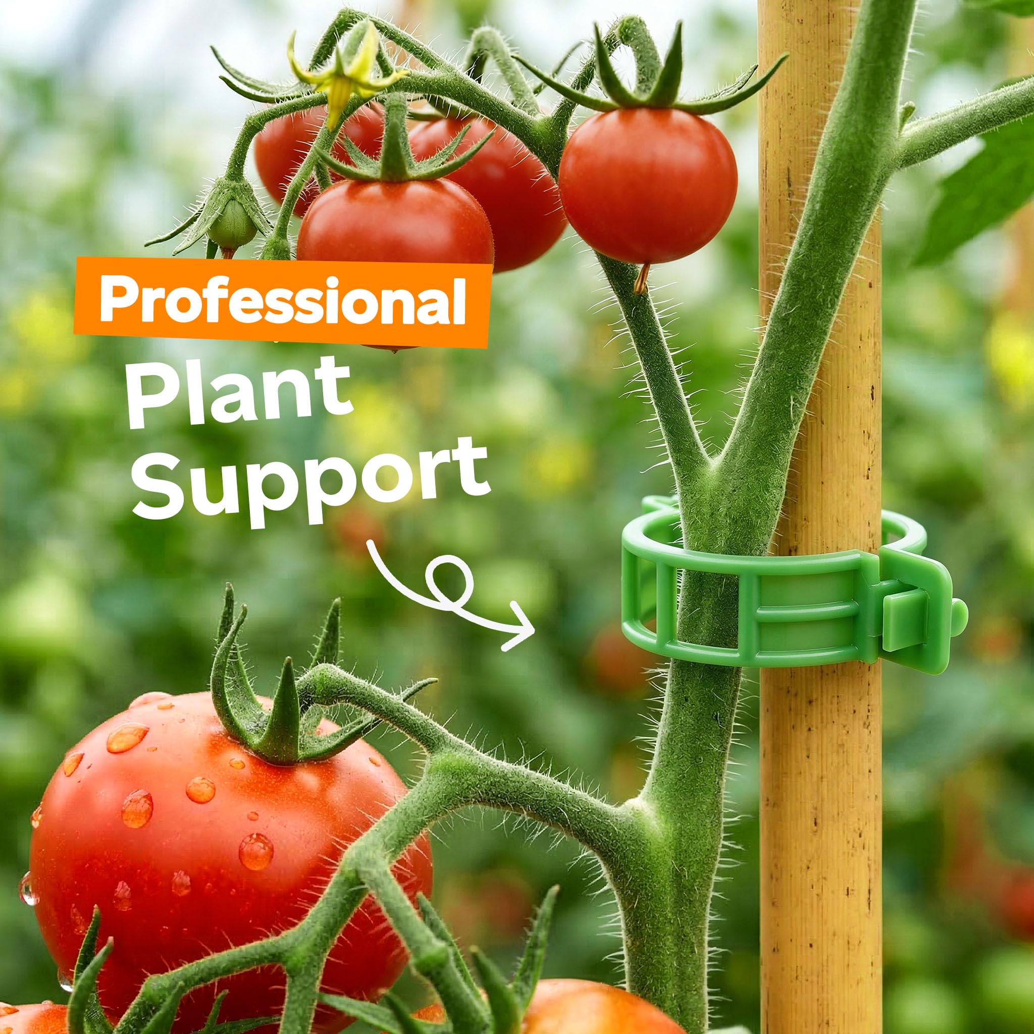 LOOHOI tomato clips secure vines without damaging stems, ideal for tomatoes and cucumbers.