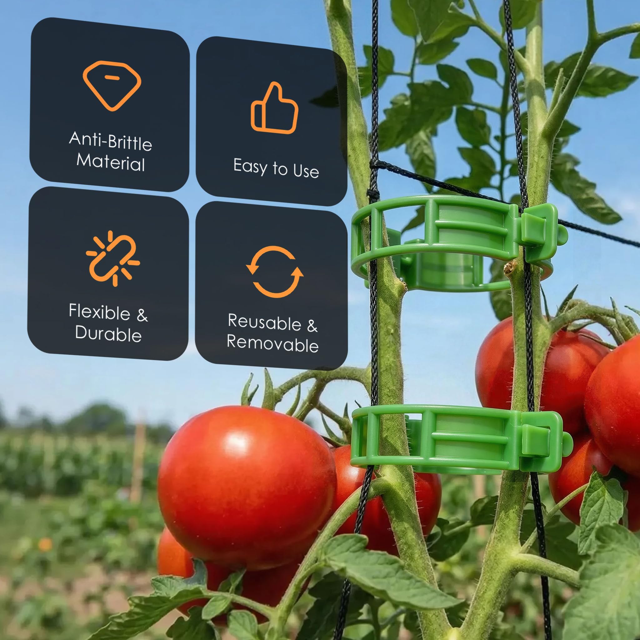 Discreet, clear clips support fruiting vines without crowding the plant.