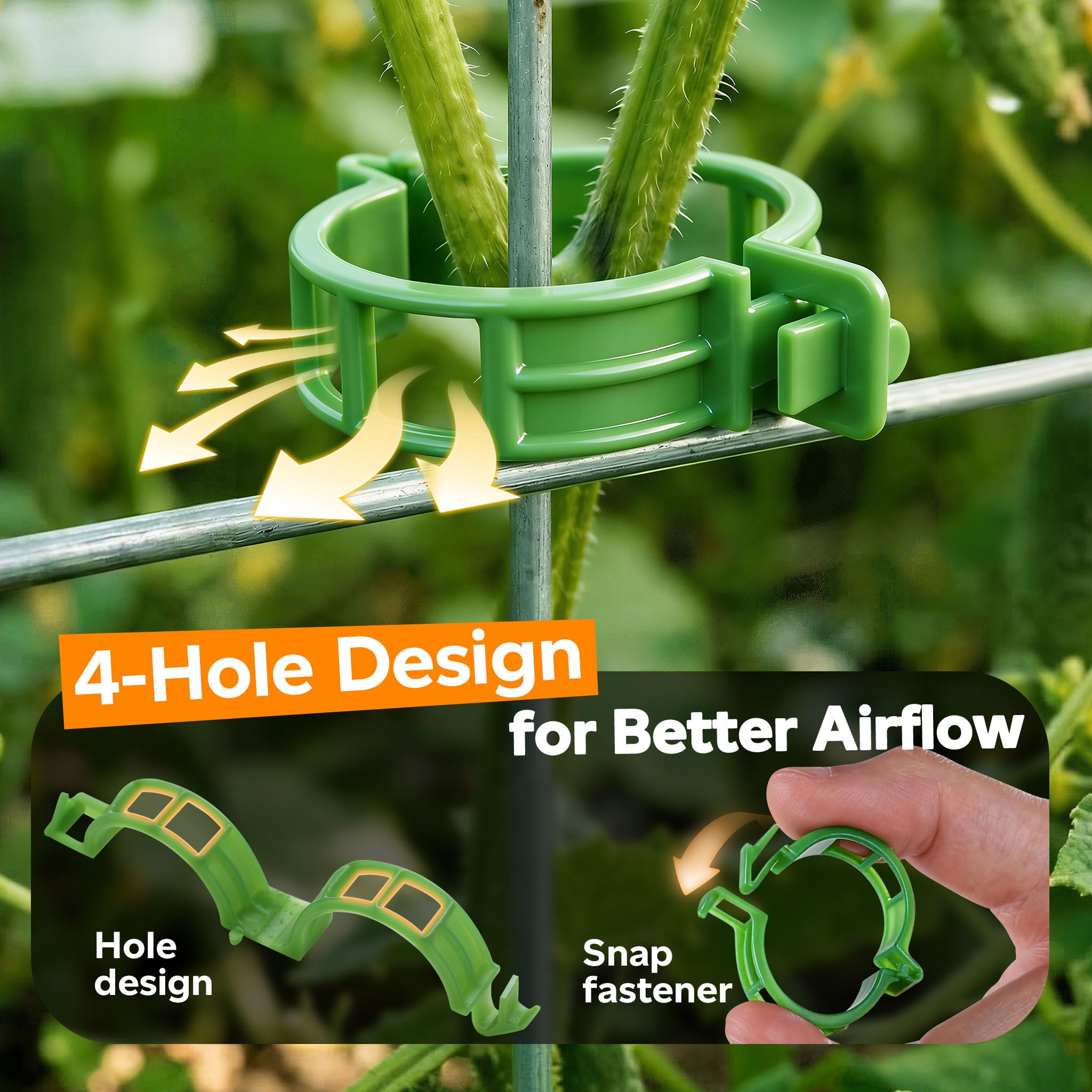 Transparent plastic clips keep trellises neat while guiding growth.