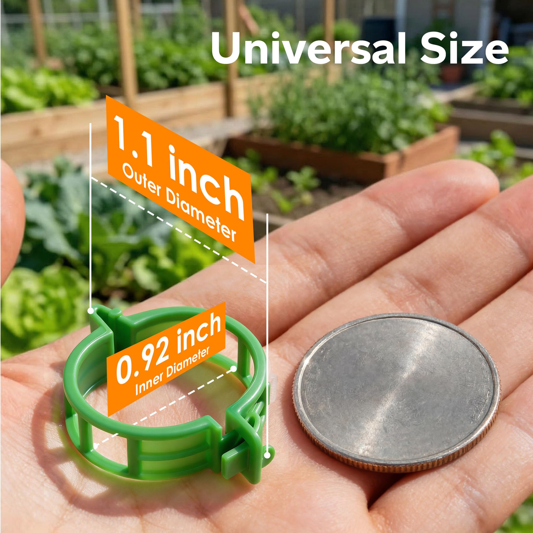 LOOHOI clips fit 2–25 mm stems for seedlings through mature fruiting plants.
