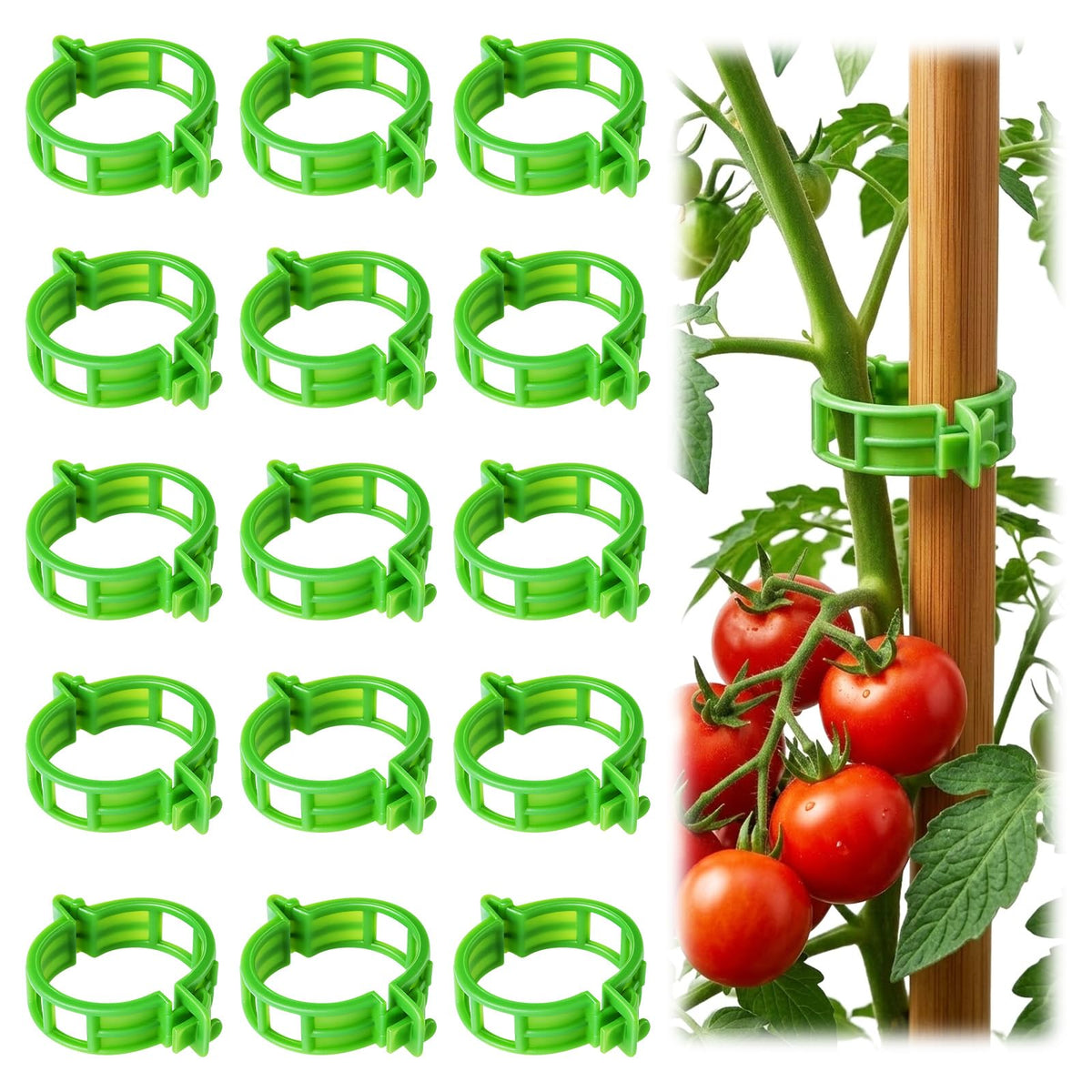 LOOHOI tomato clips with wedge design provide strong support for climbing plants.