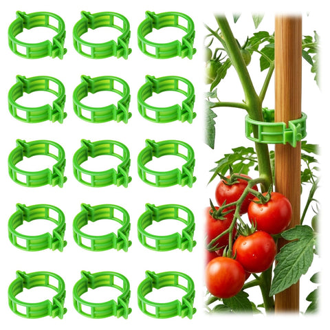 LOOHOI tomato clips with wedge design provide strong support for climbing plants.