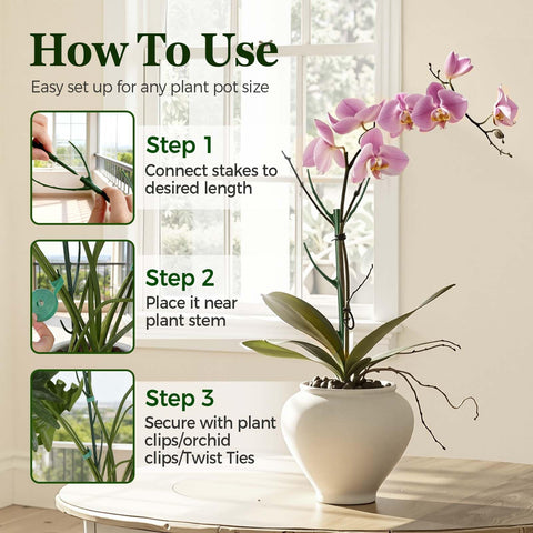 LOOHOI versatile stake fits monstera, pothos, philodendron, ivy and more.