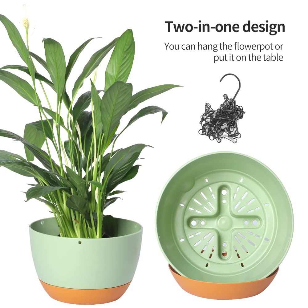 Lookat removable-tray hanging pot for easy planting and watering.