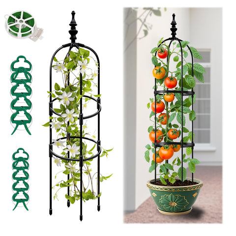 LOOMINGSX Trellis Obelisk 6ft supports tall vines and blooms outdoors.