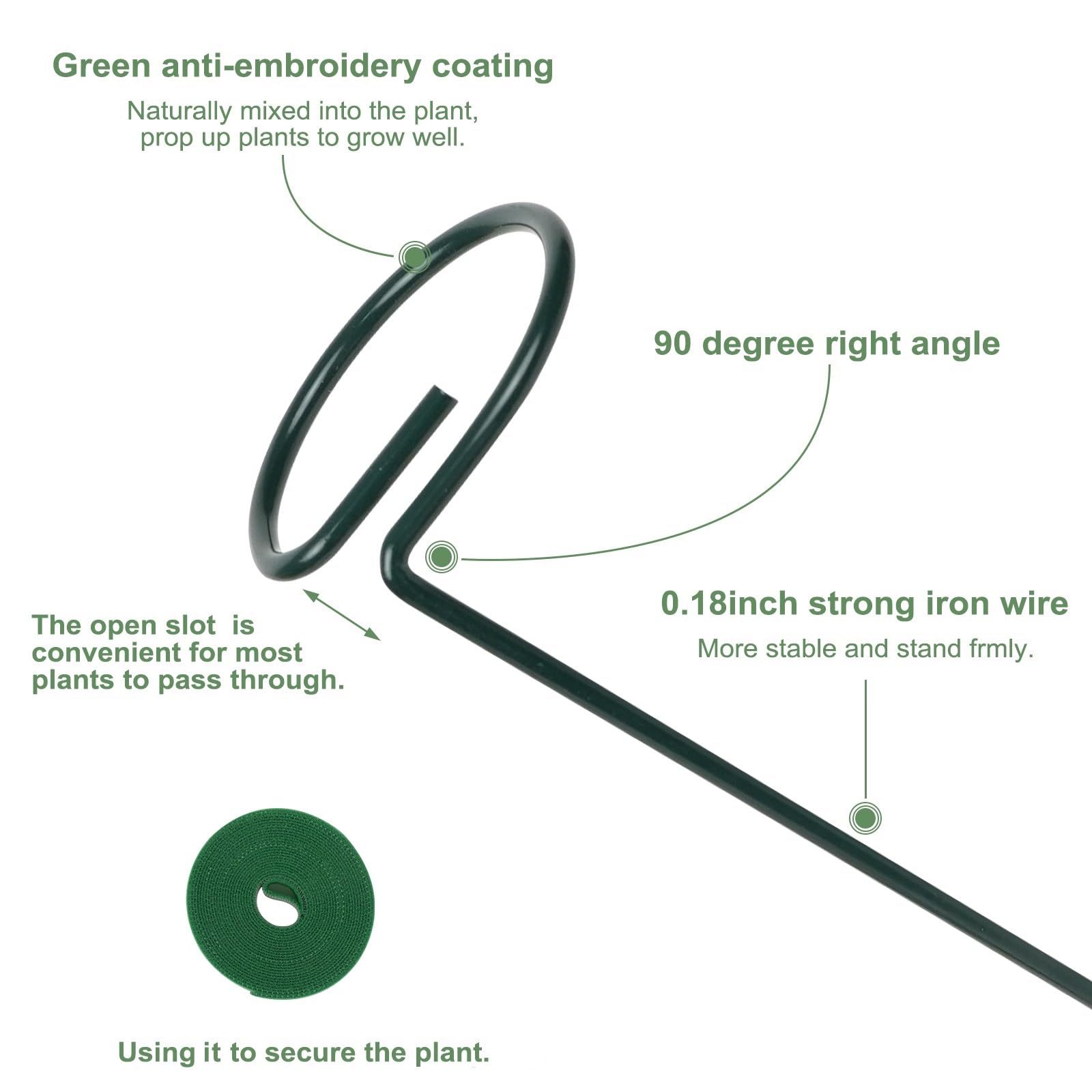 Loongesho 12-inch compact plant support stake for indoor pots