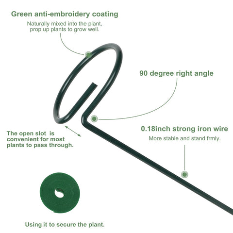 Loongesho 12-inch compact plant support stake for indoor pots