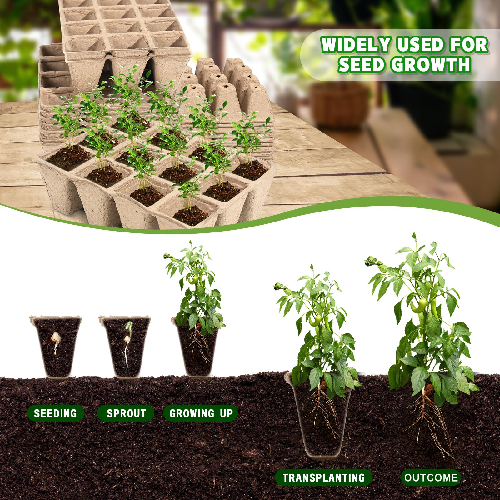 Loongesho seed tray with drainage holes promotes healthy moisture balance.