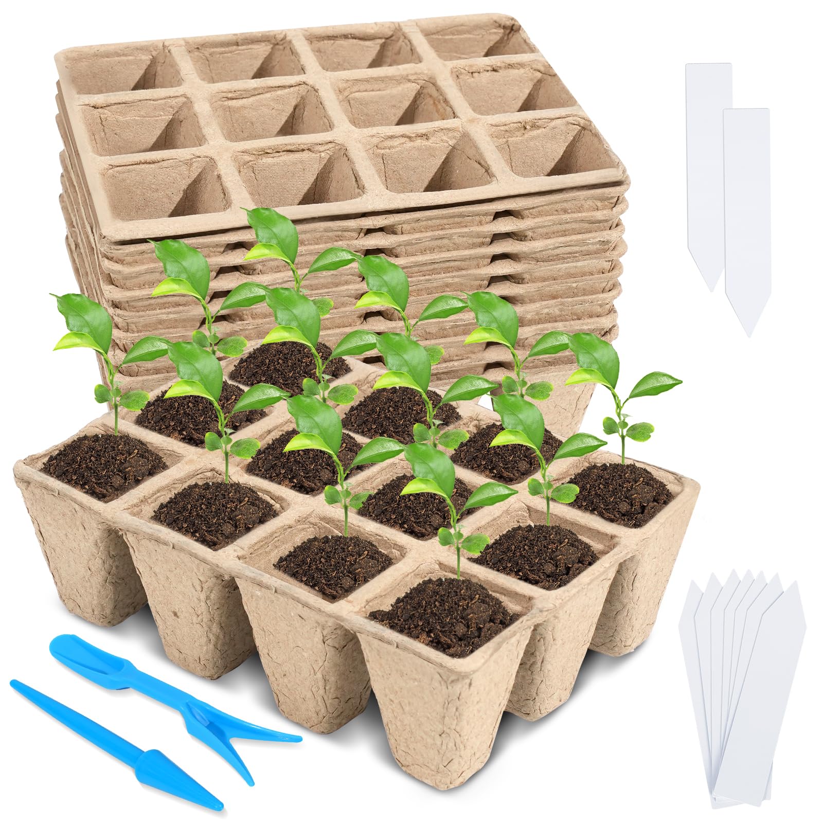 Loongesho seedling trays arranged for rapid germination with a 120-cell setup.