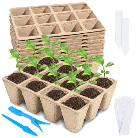 Loongesho seedling trays arranged for rapid germination with a 120-cell setup.