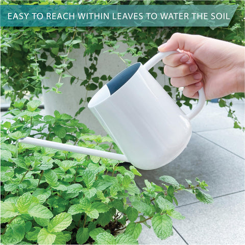 LOOPSEED protective cap helps prevent spills during handling