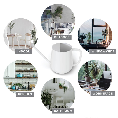 LOOPSEED ideal for indoor plant care and herbs