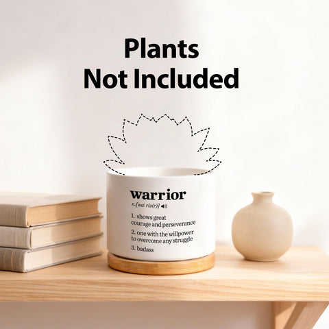 Loovelo inspirational gift pot pairs with succulents for a tidy desk or shelf.