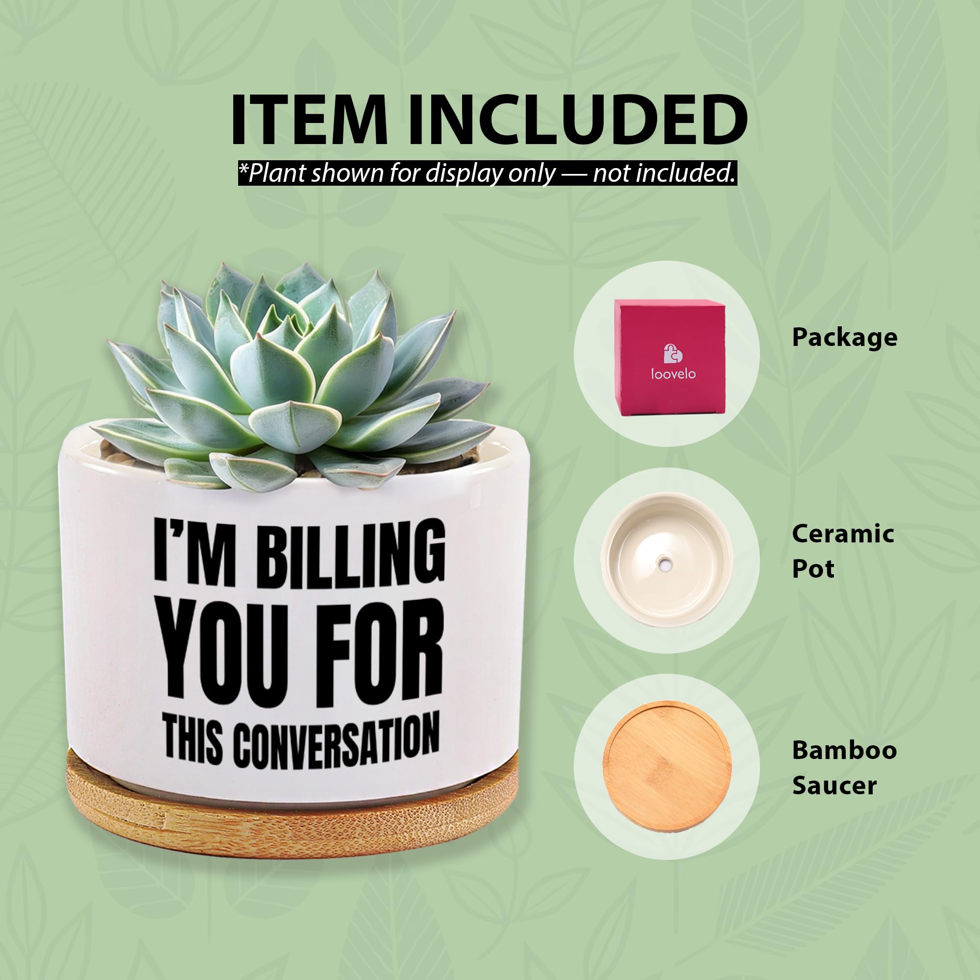 Loovelo easy-care pot supports small greenery with minimal setup