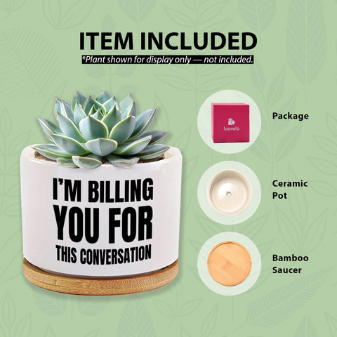 Loovelo easy-care pot supports small greenery with minimal setup