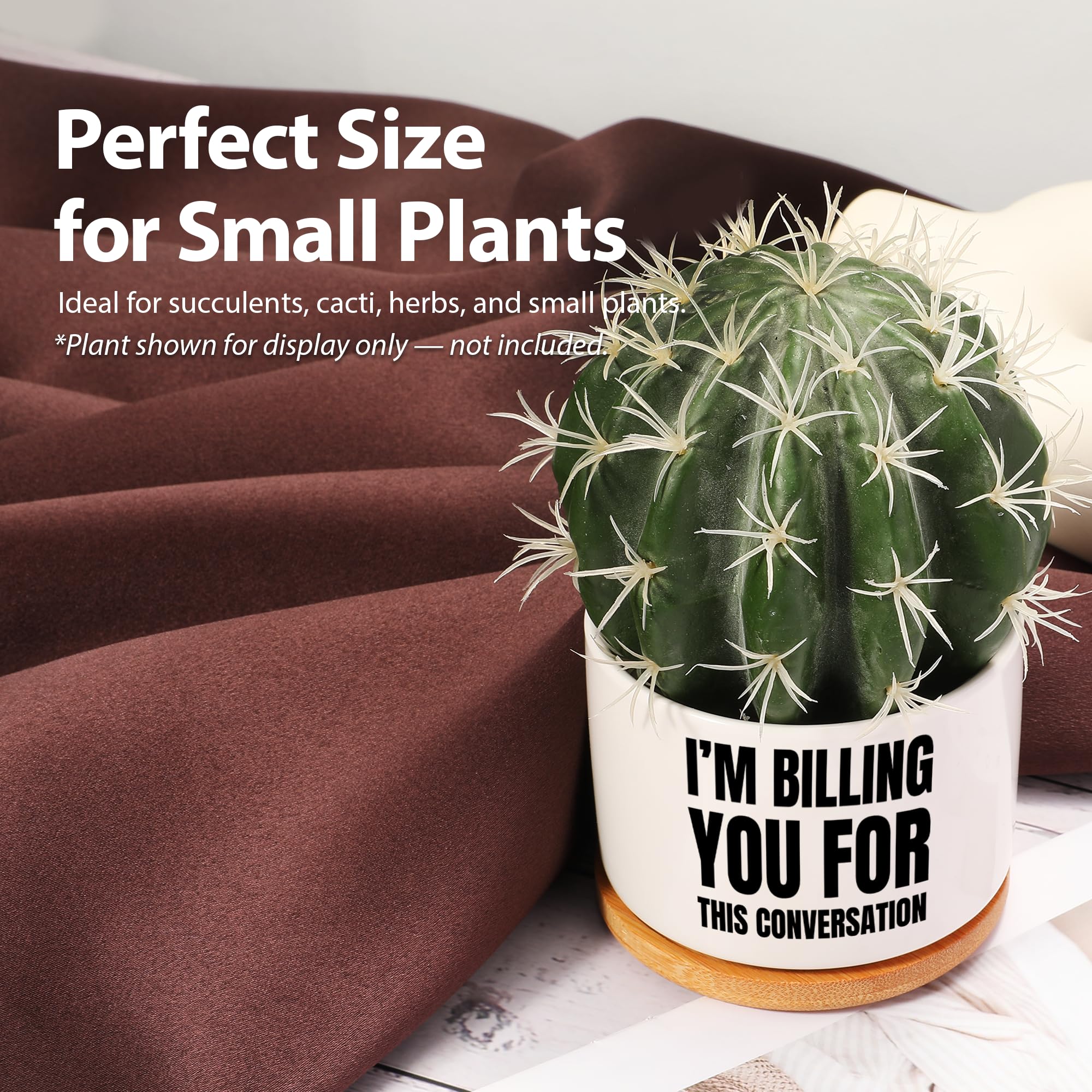 Loovelo funny gift for lawyers pot suitable for birthdays and graduations