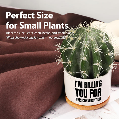Loovelo funny gift for lawyers pot suitable for birthdays and graduations