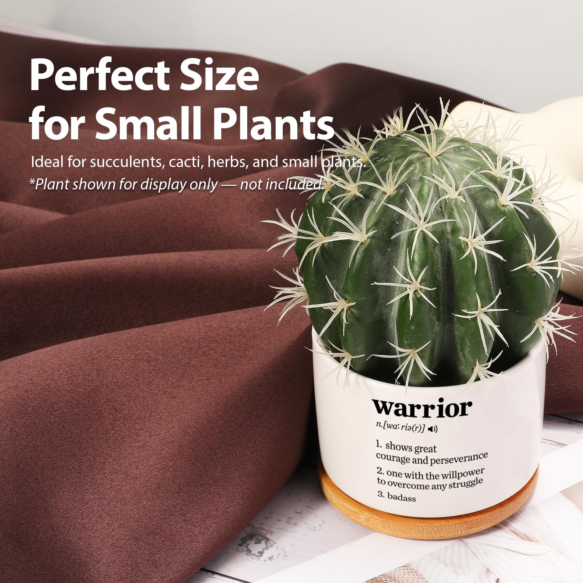 Loovelo minimalist decor item enhances any room with greenery.