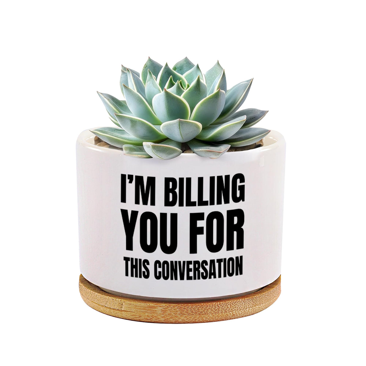 Loovelo round white succulent pot with bamboo tray for stylish desk decor