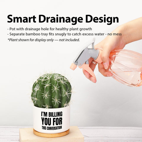 Loovelo small-space desk decor pot ideal for compact greenery