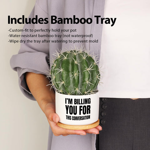 Loovelo succulent plant not included—great ready-to-gift potential
