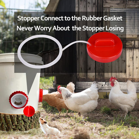 lopopvsys no-waste feeder ports prevent spills in coop setup
