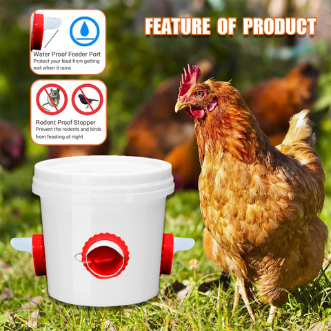 Lopopvsys weatherproof poultry feeder keeps feed dry in rain and snow