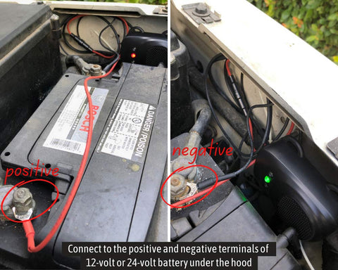 Loraffe helps reduce engine-compartment rodent activity for vehicle longevity.