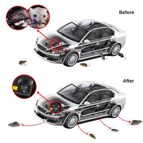 Loraffe 12V/24V compatibility expands vehicle use