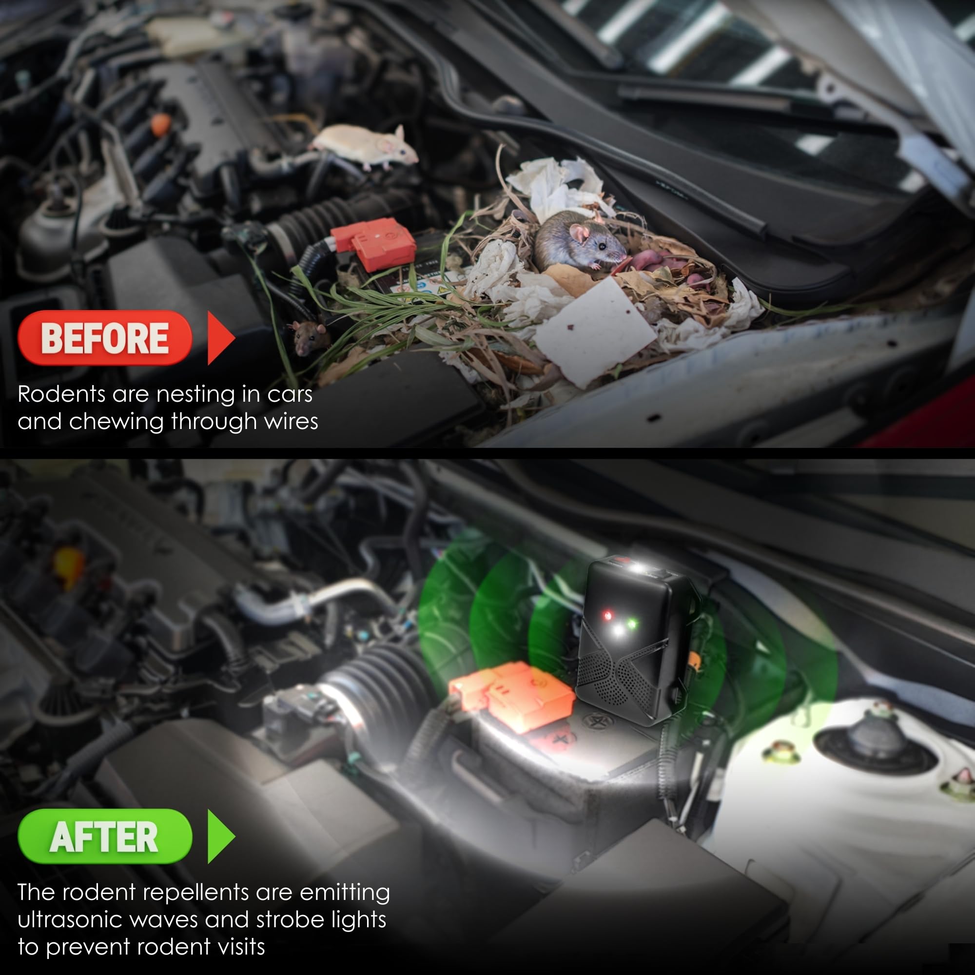 Loraffe versatile deterrent for cars, trucks, boats, and RVs