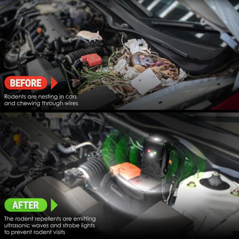 Loraffe versatile deterrent for cars, trucks, boats, and RVs