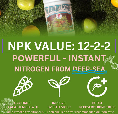 Lord of Millet Fish Emulsion Powder in vegetables application for steady nutrient supply.