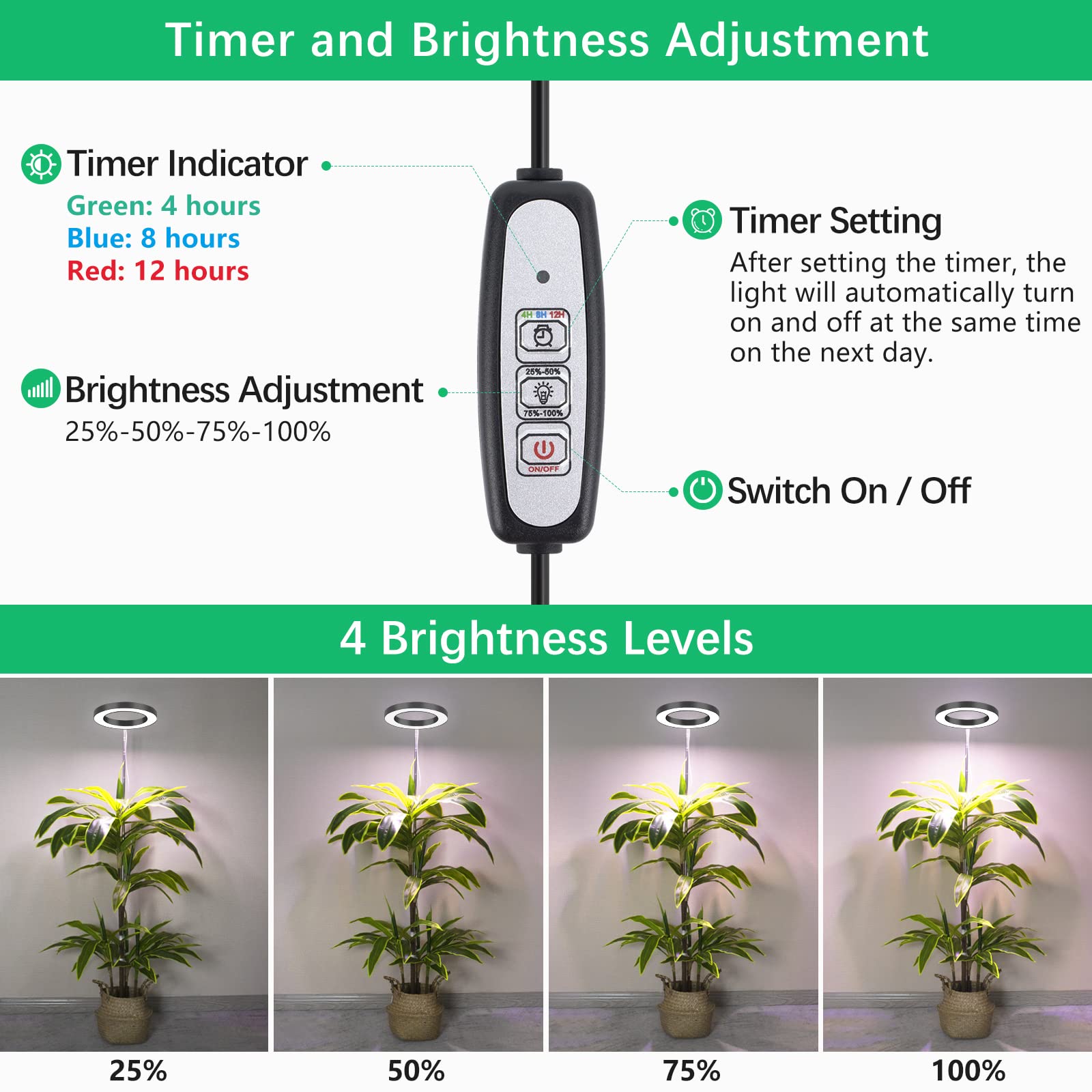 LORDEM auto timer feature ensures daily light cycles with minimal effort.