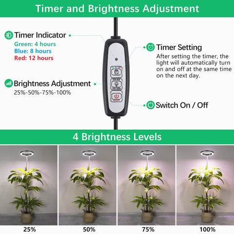 LORDEM auto timer feature ensures daily light cycles with minimal effort.