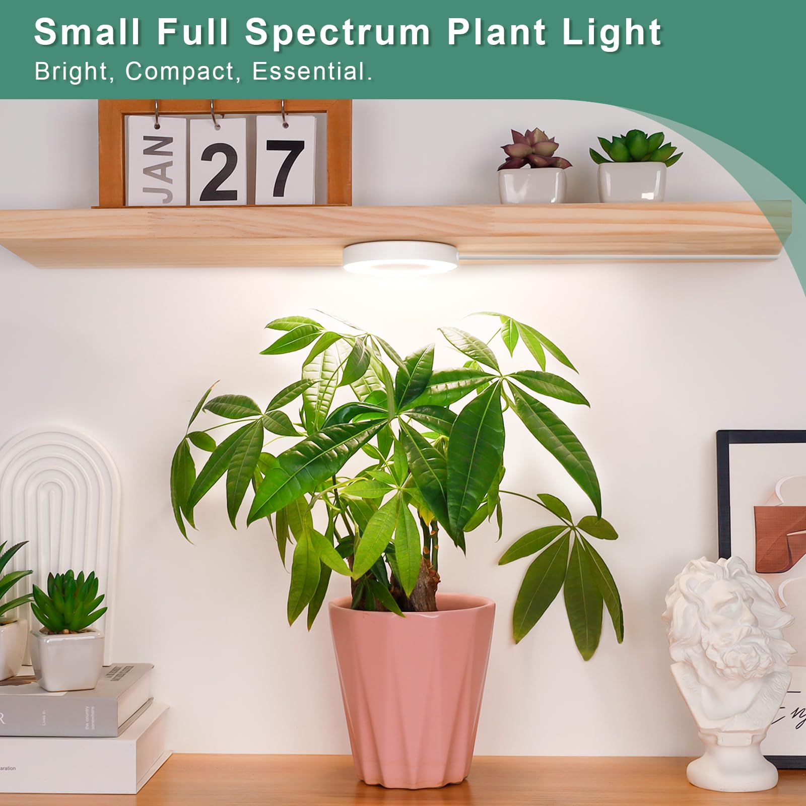 LORDEM auto-timer settings demonstrate hands-free scheduling for consistent lighting.