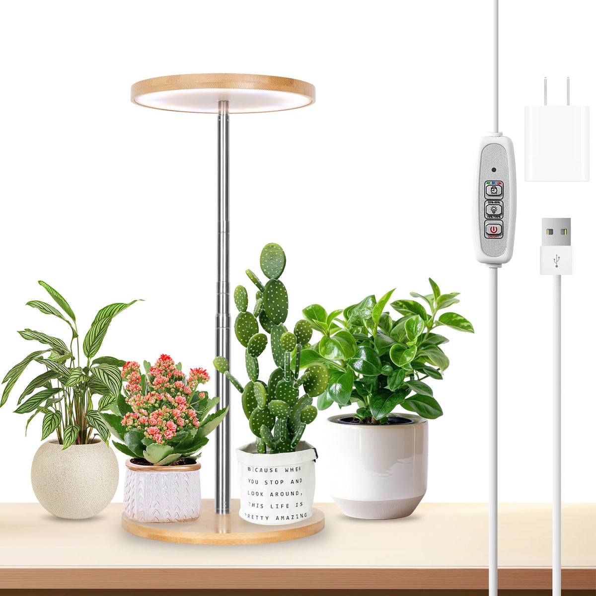 LORDEM Bamboo Grow Light base provides stable support for desk plants.