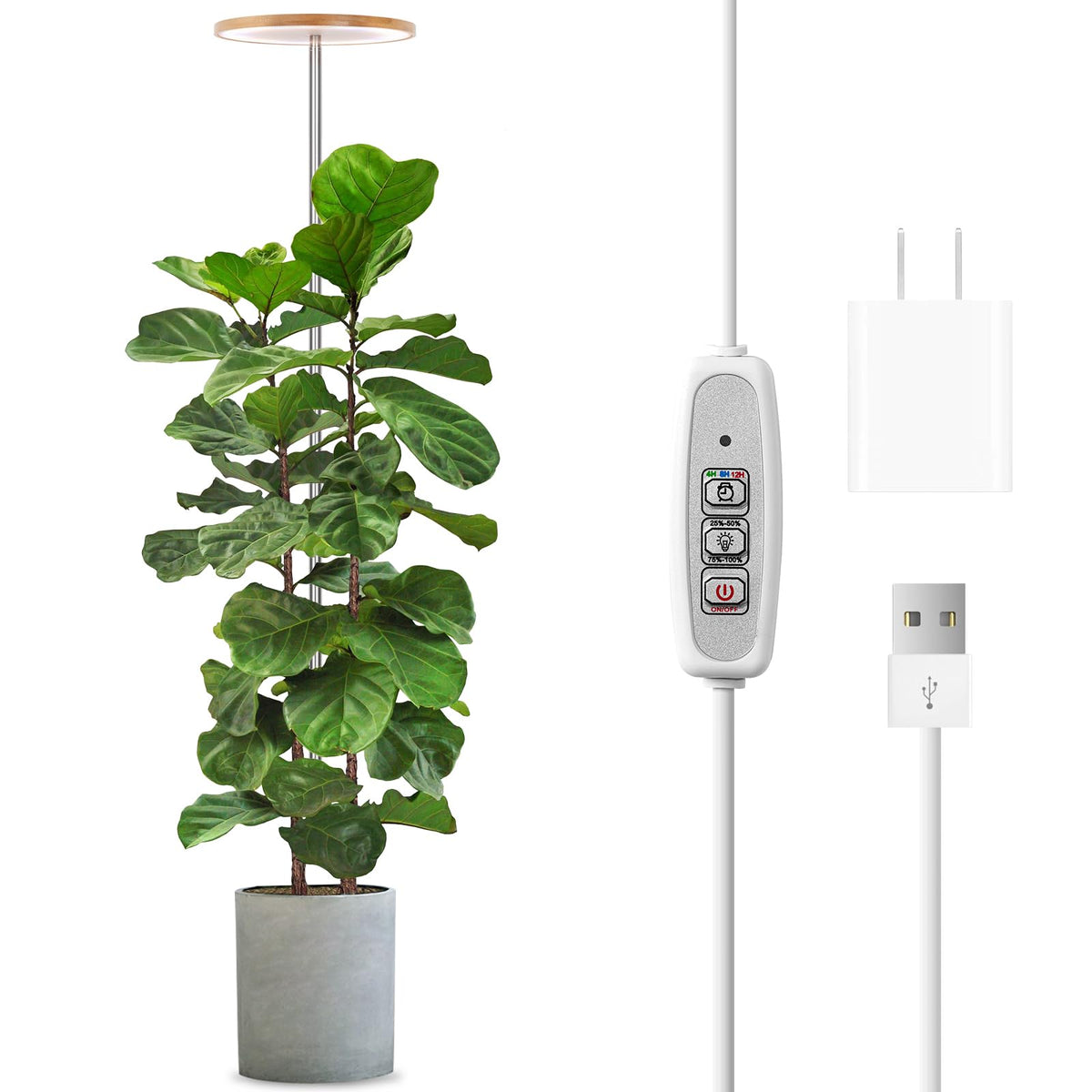 LORDEM Bamboo Grow Light full spectrum panel illuminates indoor plants for healthier growth.