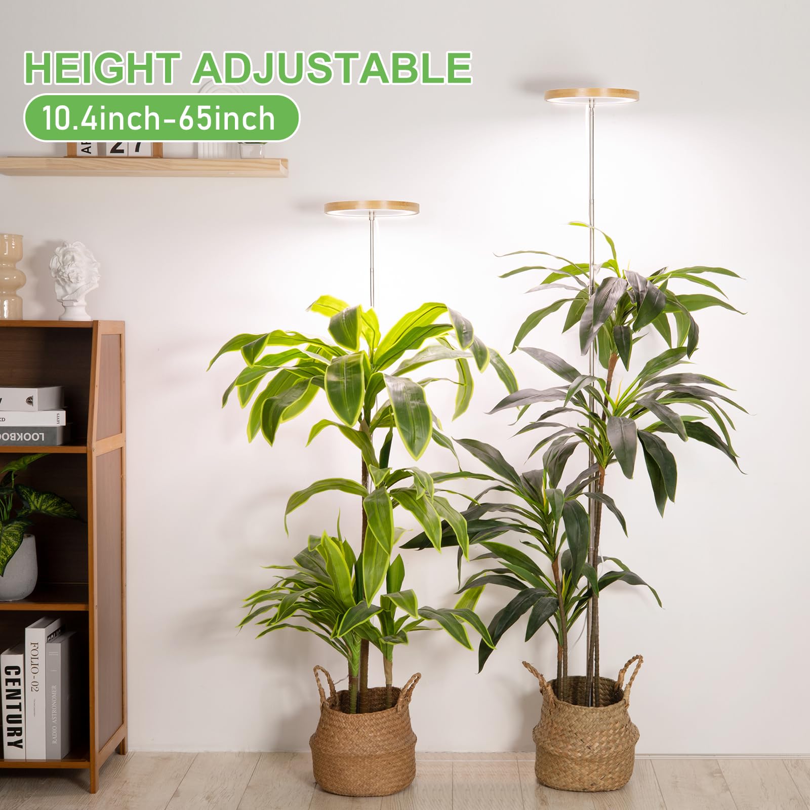 LORDEM Bamboo Grow Light timer display helps schedule lighting for consistent care.
