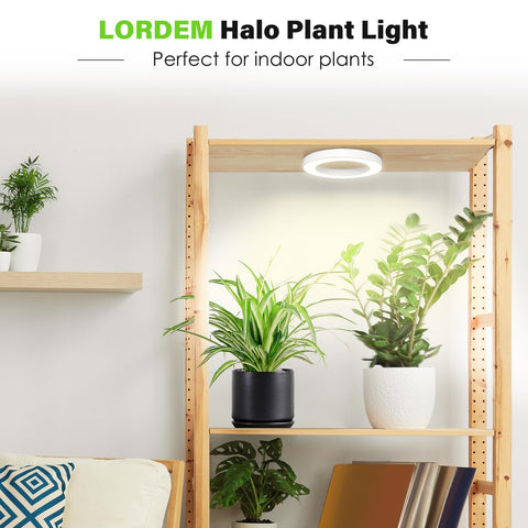 LORDEM ceiling ring design 6.3 inch diameter fits above pots.