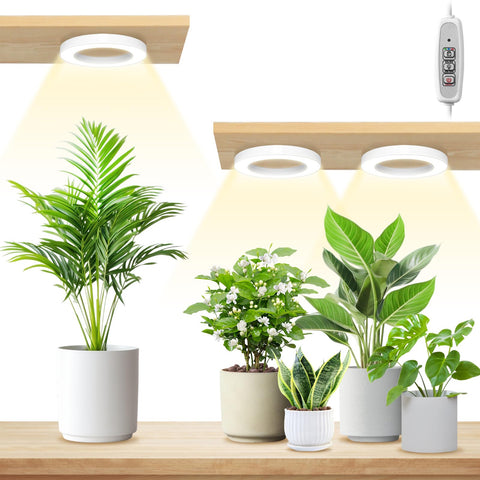 LORDEM halo ceiling grow light with 216 LEDs for indoor plants.