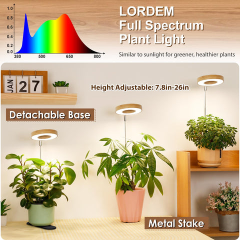LORDEM circular LED light panel provides full coverage for indoor plants.