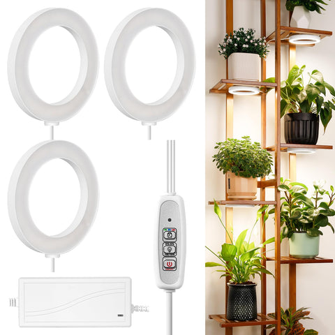 LORDEM energy-efficient LEDs help reduce consumption.