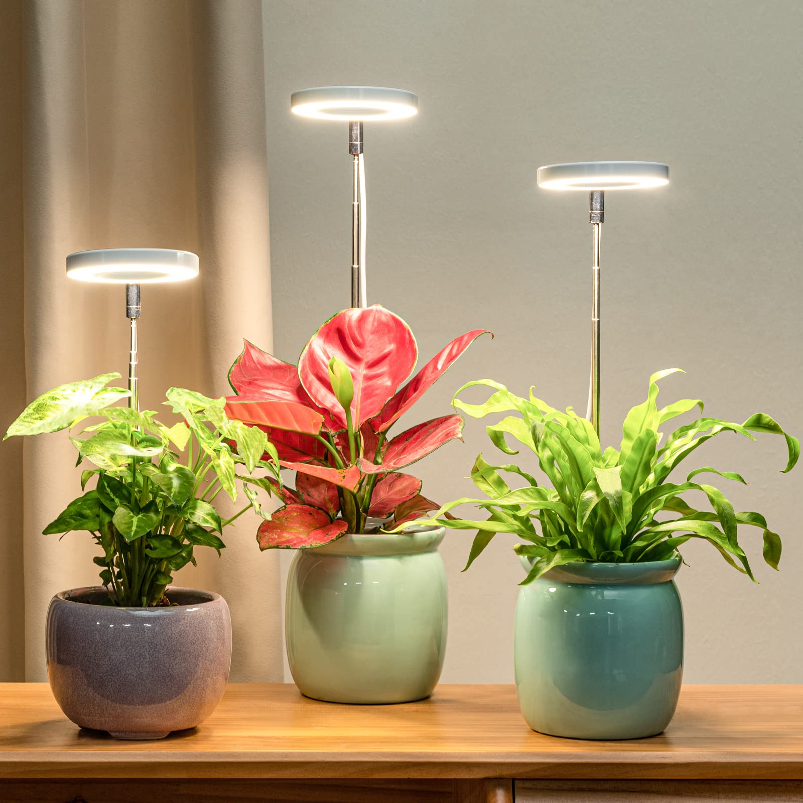LORDEM full-spectrum LED covers 380-800 nm for healthy indoor photosynthesis.