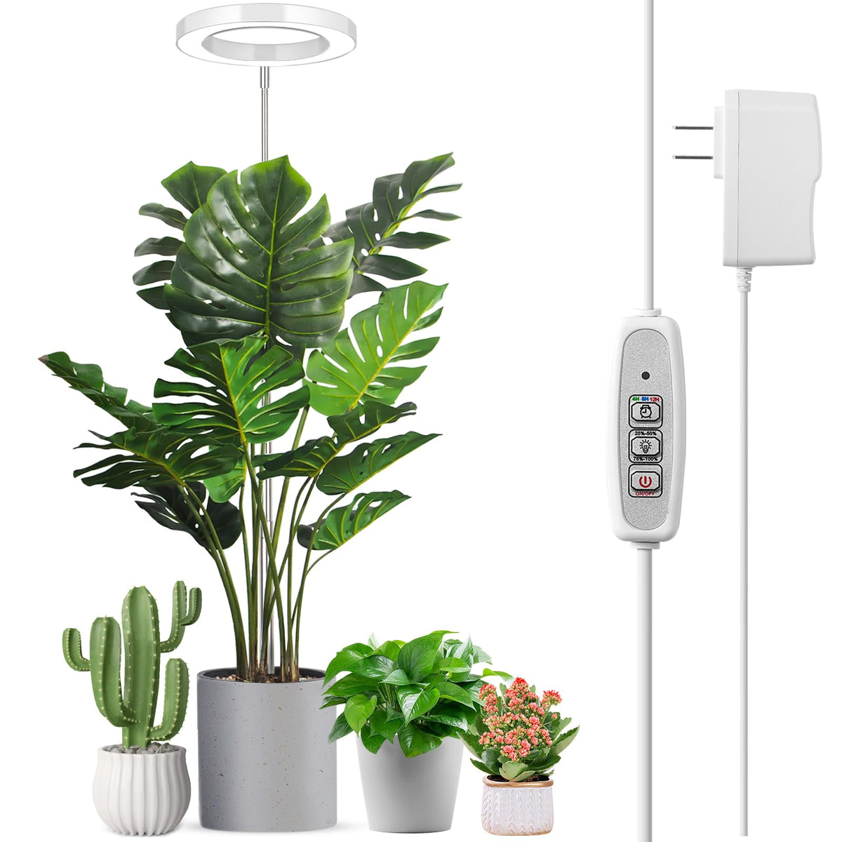 LORDEM full spectrum grow light panel with 72 LEDs providing even coverage for indoor plants.